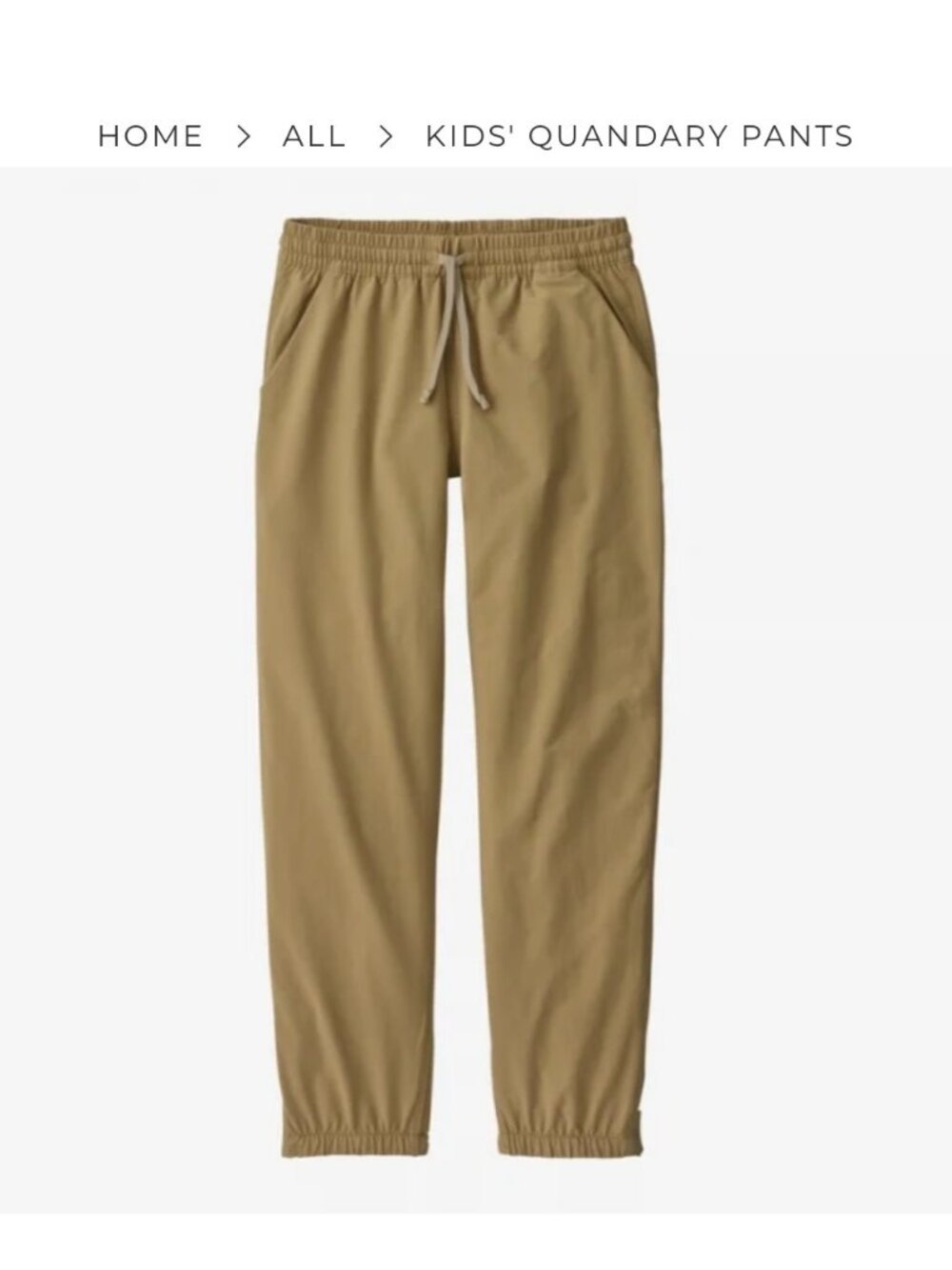 Boys Patagonia Quandry pant size Large